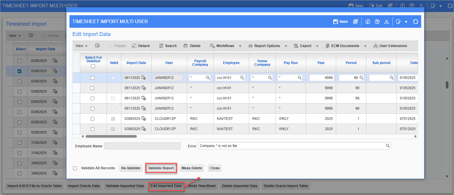 Screenshot of Timesheet Import Multi User.