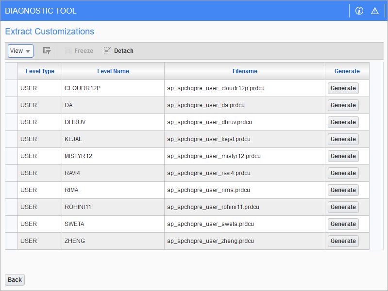 Sample of the Extract Customizations pop-up window