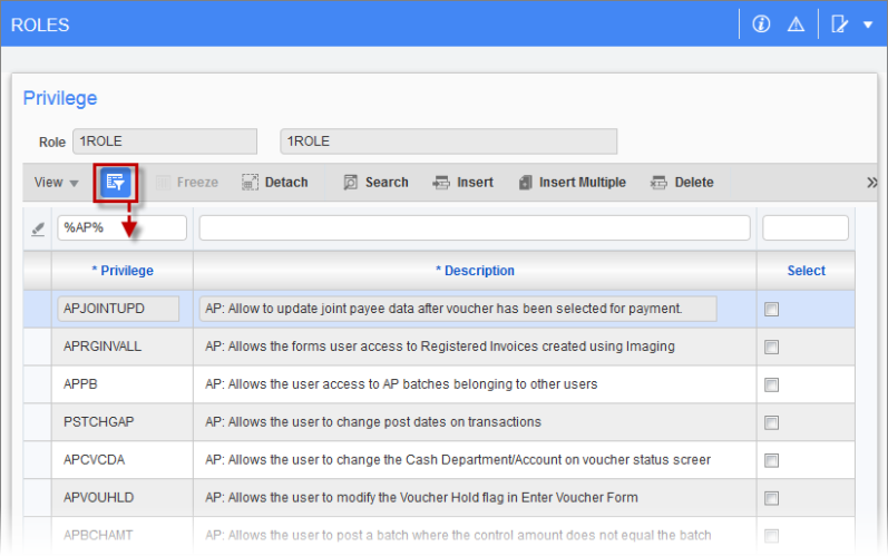 Example of using Query By Example to search for application specific system privileges