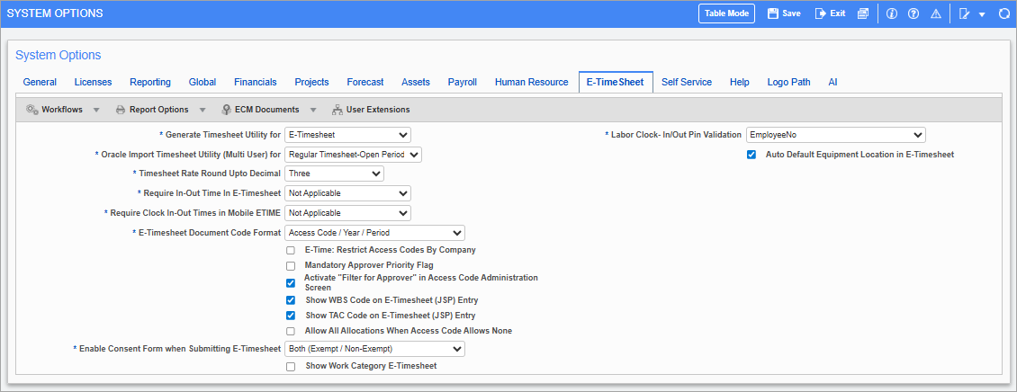 Screenshto of E-Timesheet tab of System Options screen.