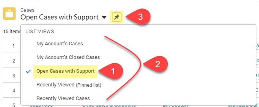 Screenshot of the Case List Views