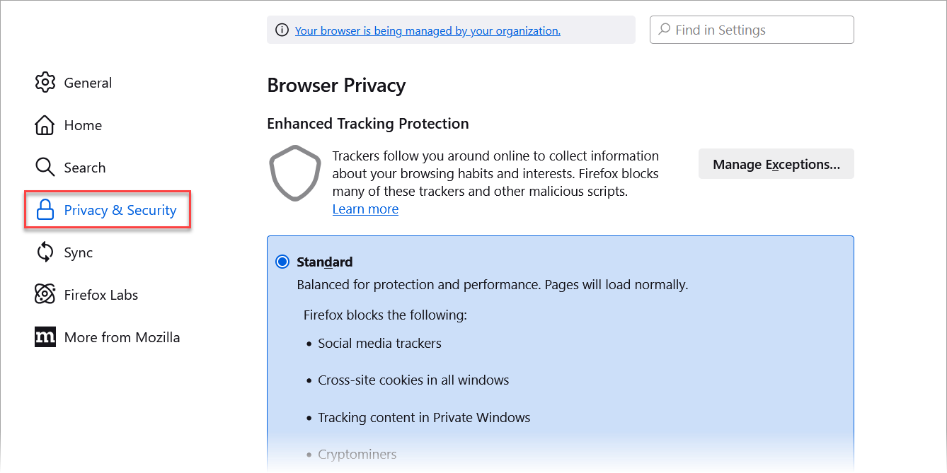 Sample of the Privacy and Security tab