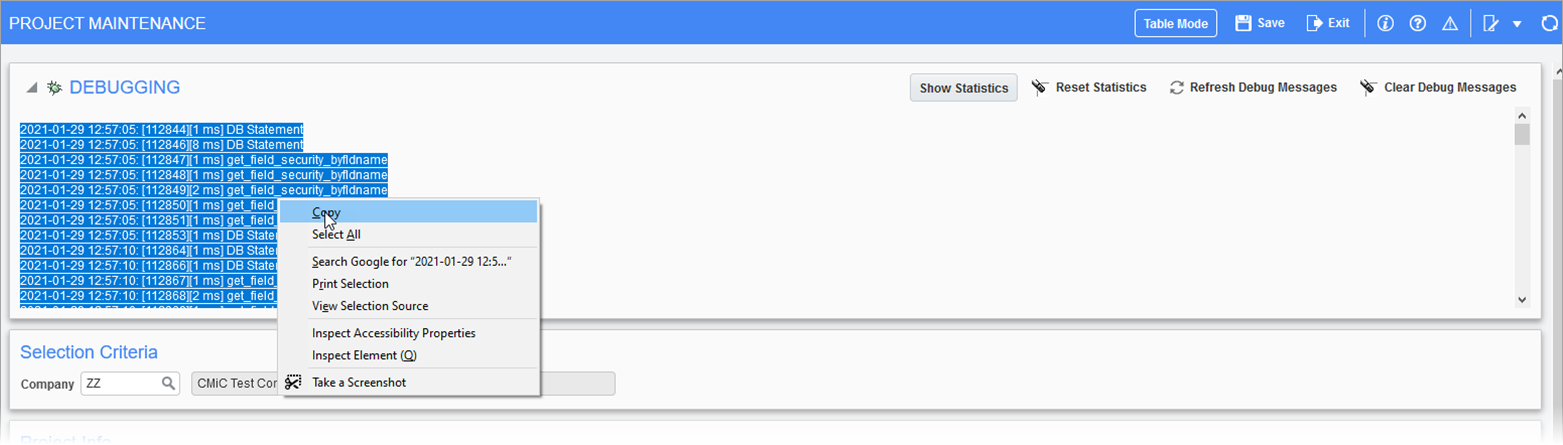 Screenshot of copying the details in the Debugging section