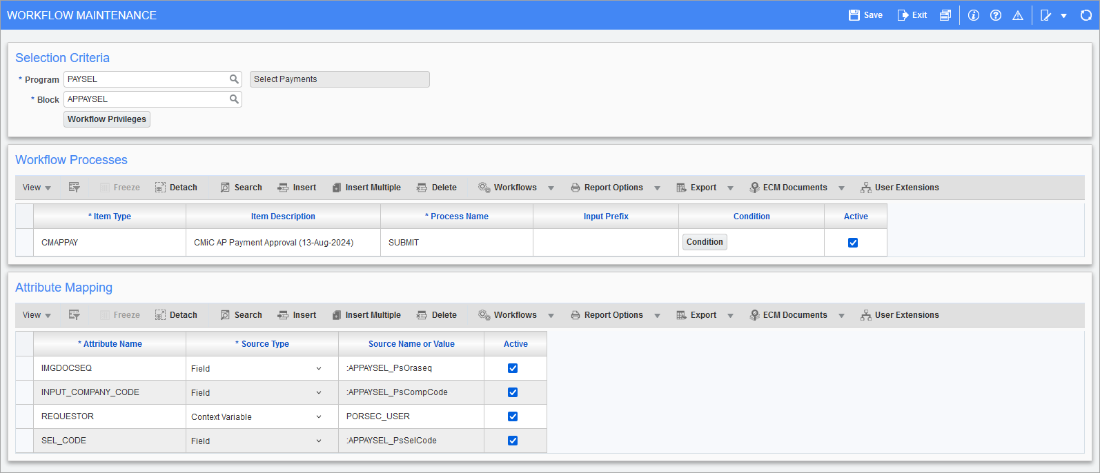 Sample of the Paas setup on the Screen-Based Launch Workflow Maintenance screen