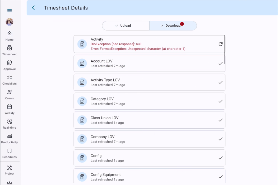 Screenshot of Timesheet Details.